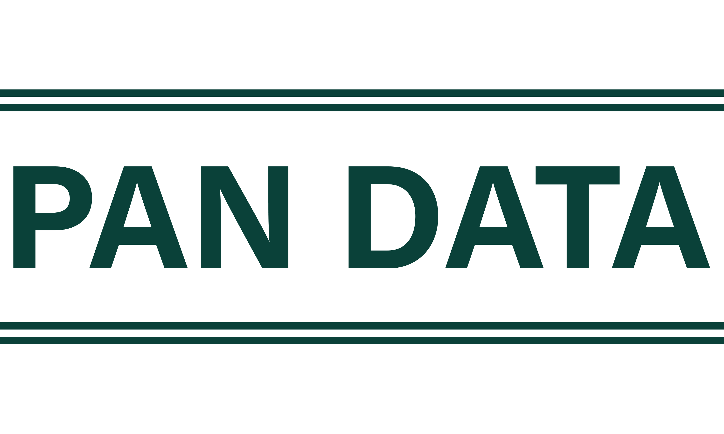 PAN DATA Logo
